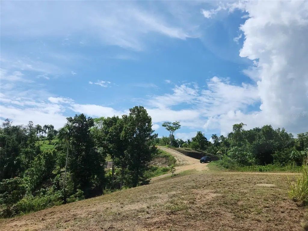 Camino subiendo la loma