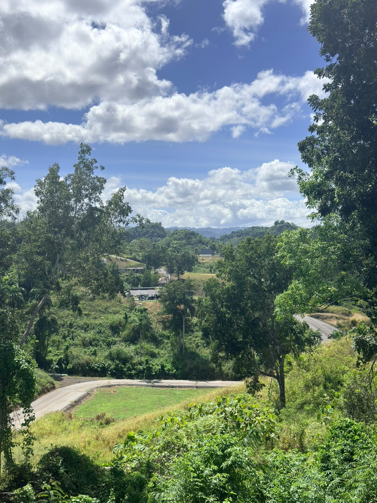 Vista desde lo alto sobre las calles curvas y las montañas de Toa Alta